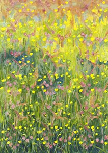 Summer Meadow, 2012,